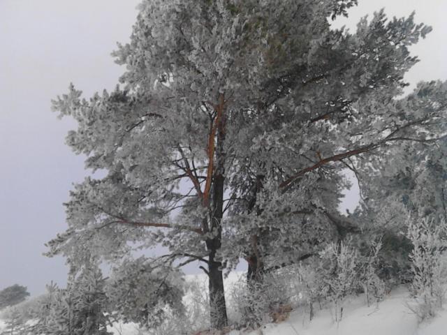 Chata Holica Pieniny Lesnica Εξωτερικό φωτογραφία