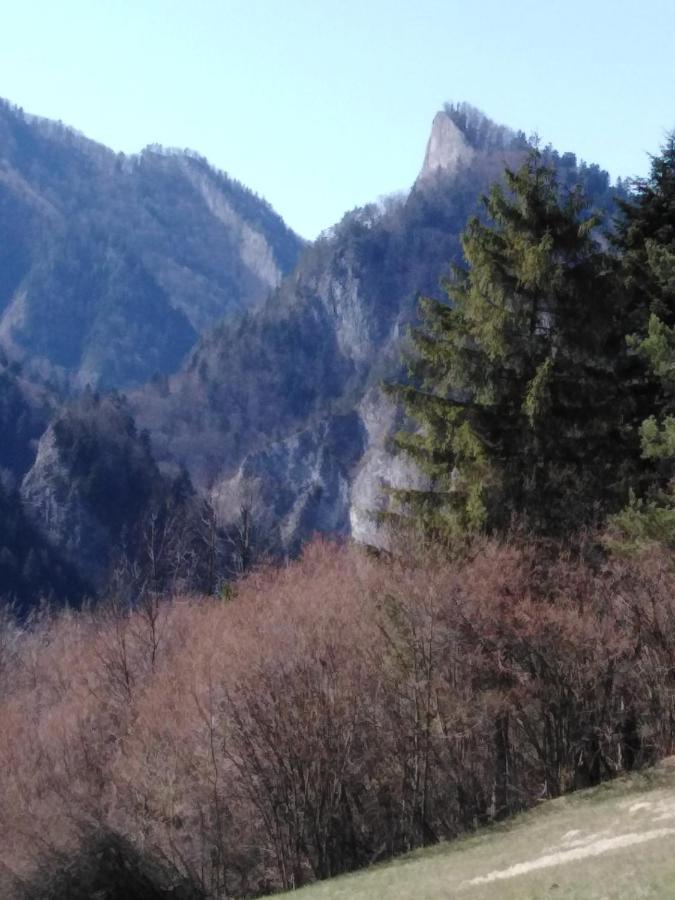 Chata Holica Pieniny Lesnica Εξωτερικό φωτογραφία