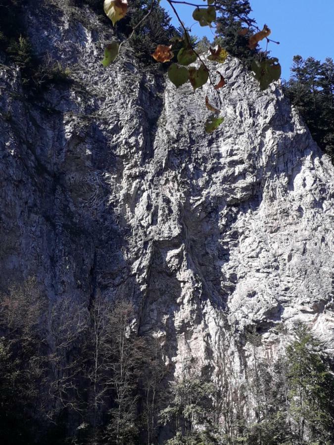 Chata Holica Pieniny Lesnica Εξωτερικό φωτογραφία