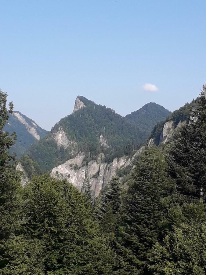 Chata Holica Pieniny Lesnica Εξωτερικό φωτογραφία