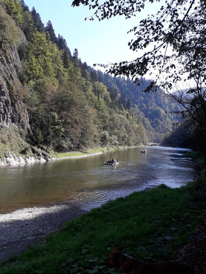 Chata Holica Pieniny Lesnica Εξωτερικό φωτογραφία