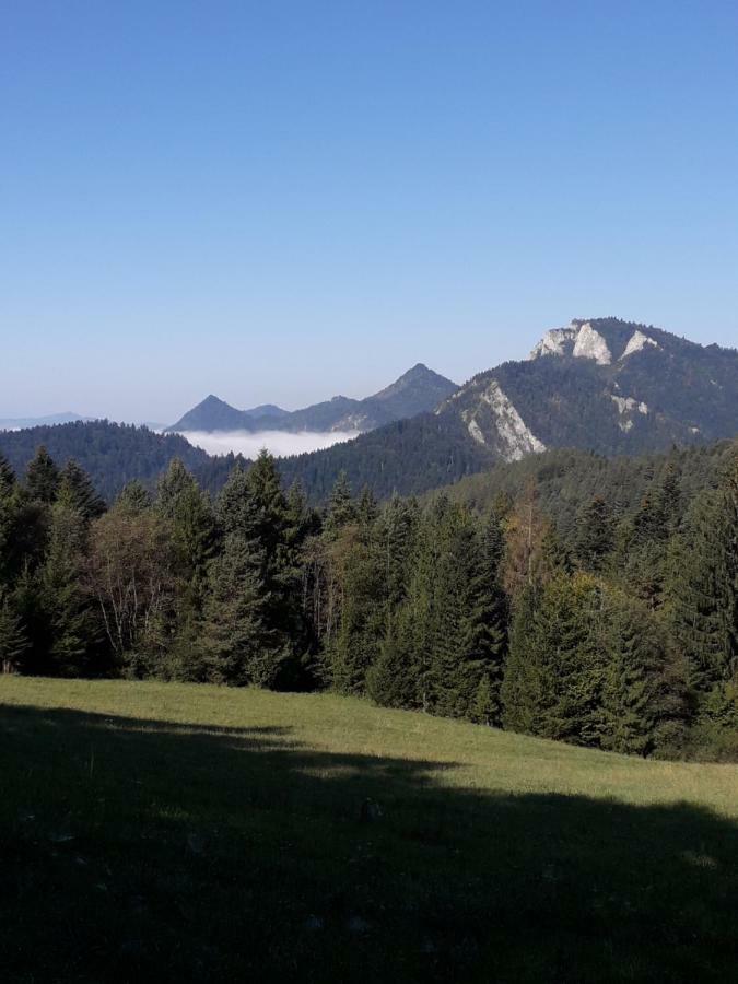 Chata Holica Pieniny Lesnica Εξωτερικό φωτογραφία