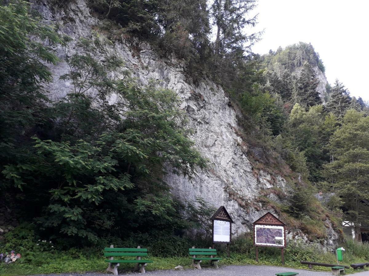 Chata Holica Pieniny Lesnica Εξωτερικό φωτογραφία