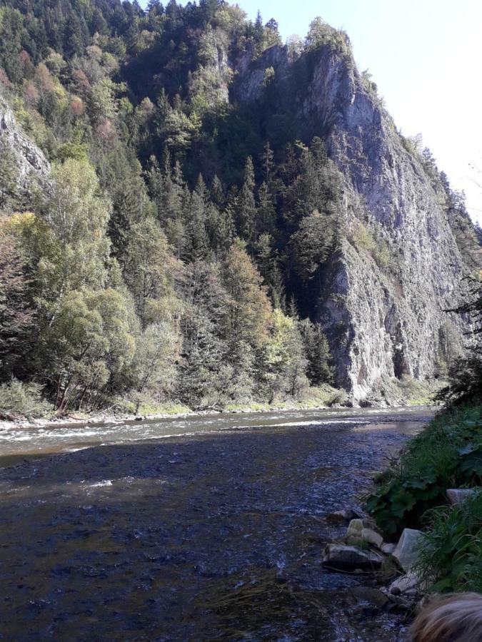 Chata Holica Pieniny Lesnica Εξωτερικό φωτογραφία