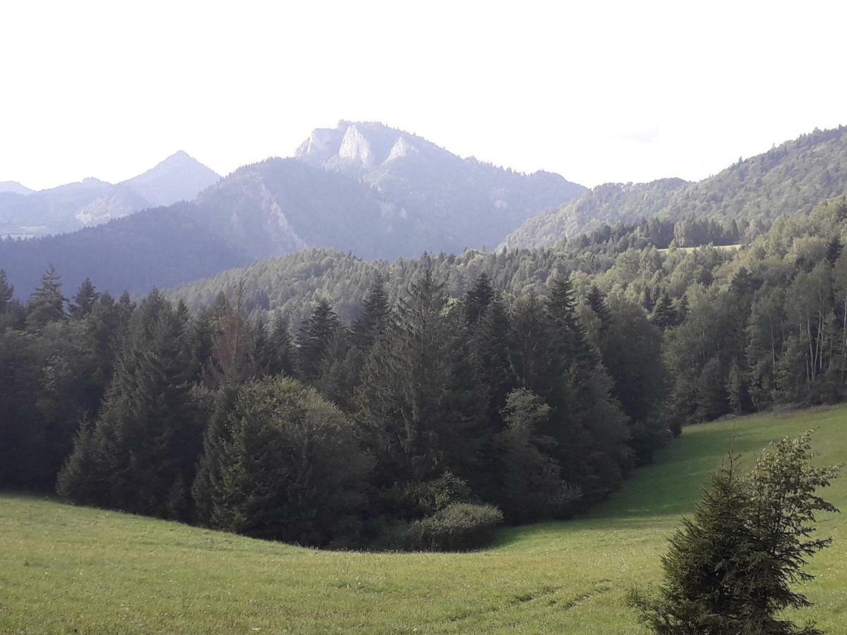 Chata Holica Pieniny Lesnica Εξωτερικό φωτογραφία